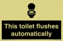 this-toilet-flushes-automatically~